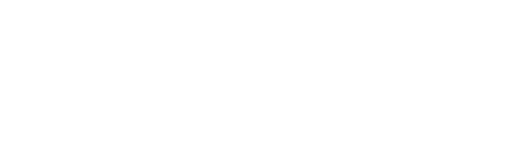 Universidad El Bosque