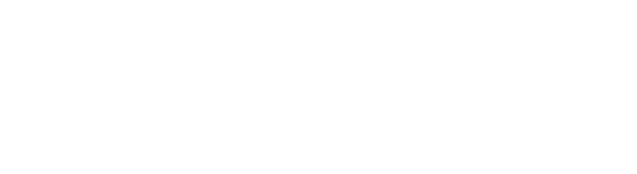 Universidad Santo Tomás