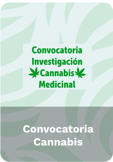 Boton Conovocatoria Cannabis