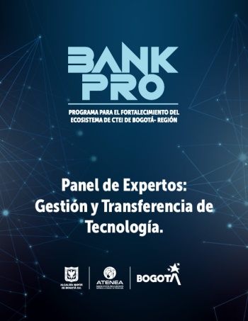 Aspectos Clave - Panel de Experto