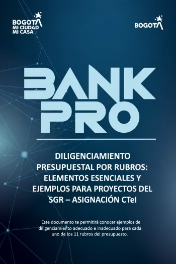Diligenciamiento presupuestal por rubros