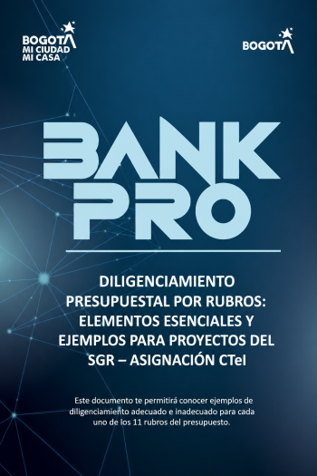 Diligenciamiento presupuestal por rubros